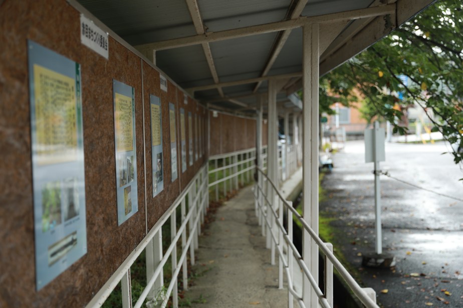 夏休み思うこと